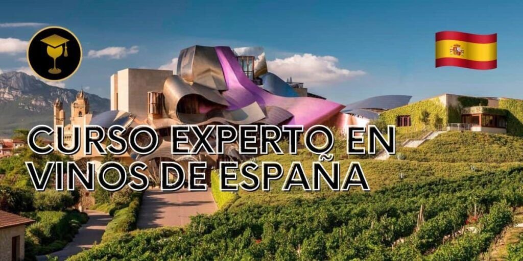 Curso Experto en Vinos de España