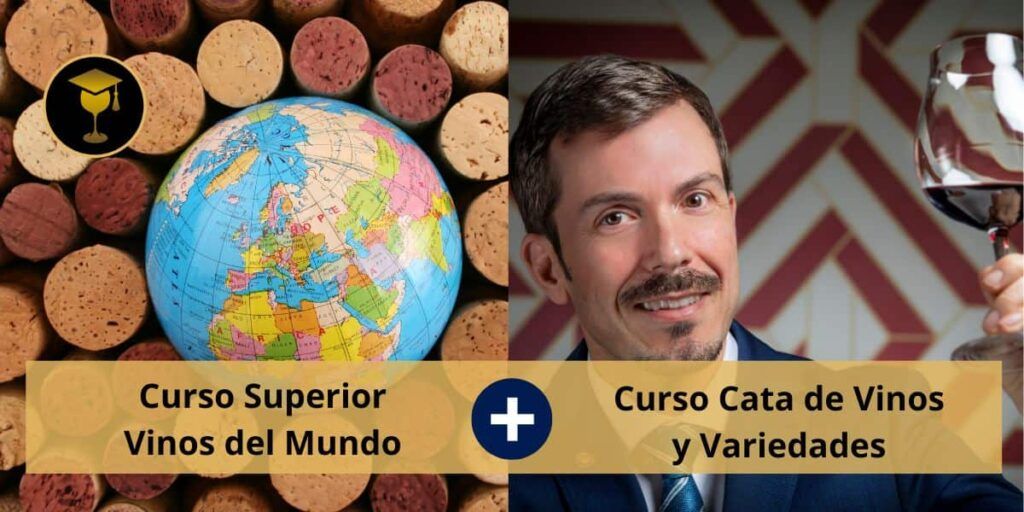 pack Curso superior vinos del mundo