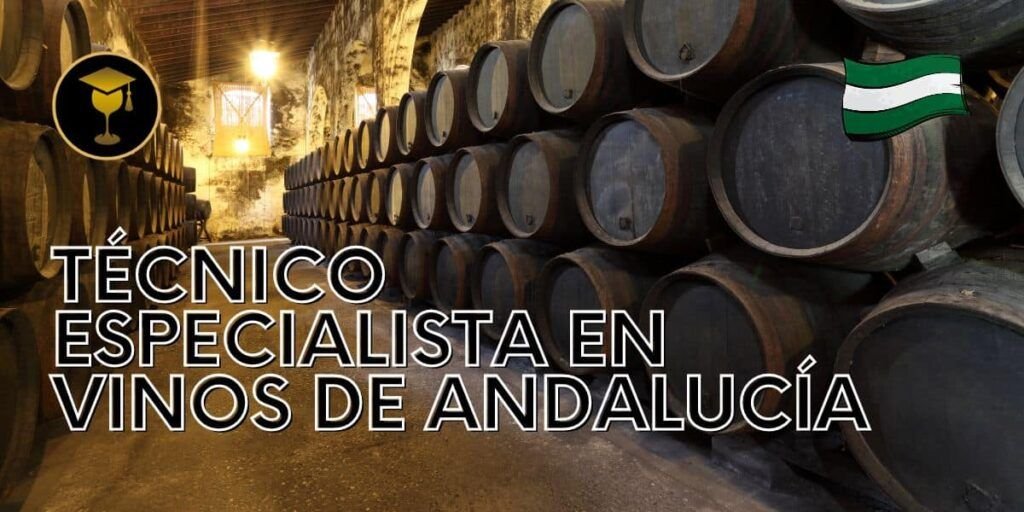 Cursos Curso Tecnico Especialista en vinos de Andalucia 1200 x 600px 1 min
