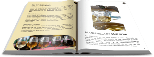 eBook gratis vinos de Jerez-min